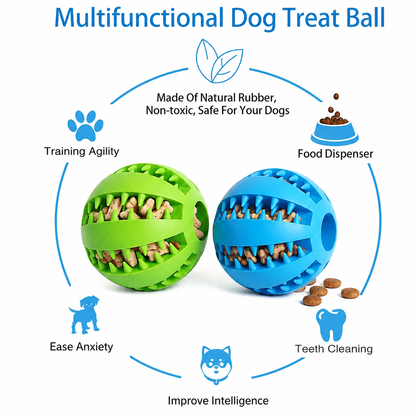Play & Treat Dog Toy Ball