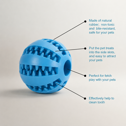 Play & Treat Dog Toy Ball