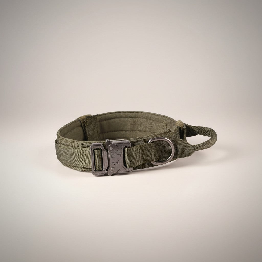 Tactical Nylon Dog Collar