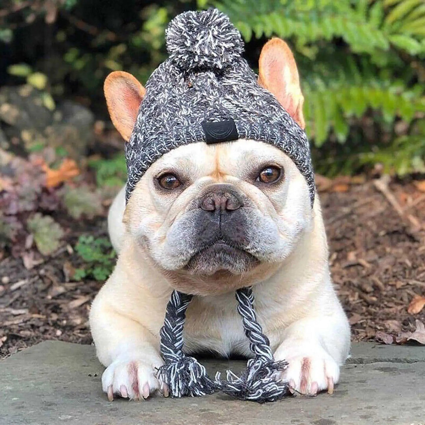 Furry Friend Knit Hat
