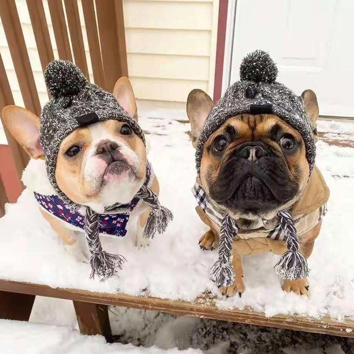 Furry Friend Knit Hat