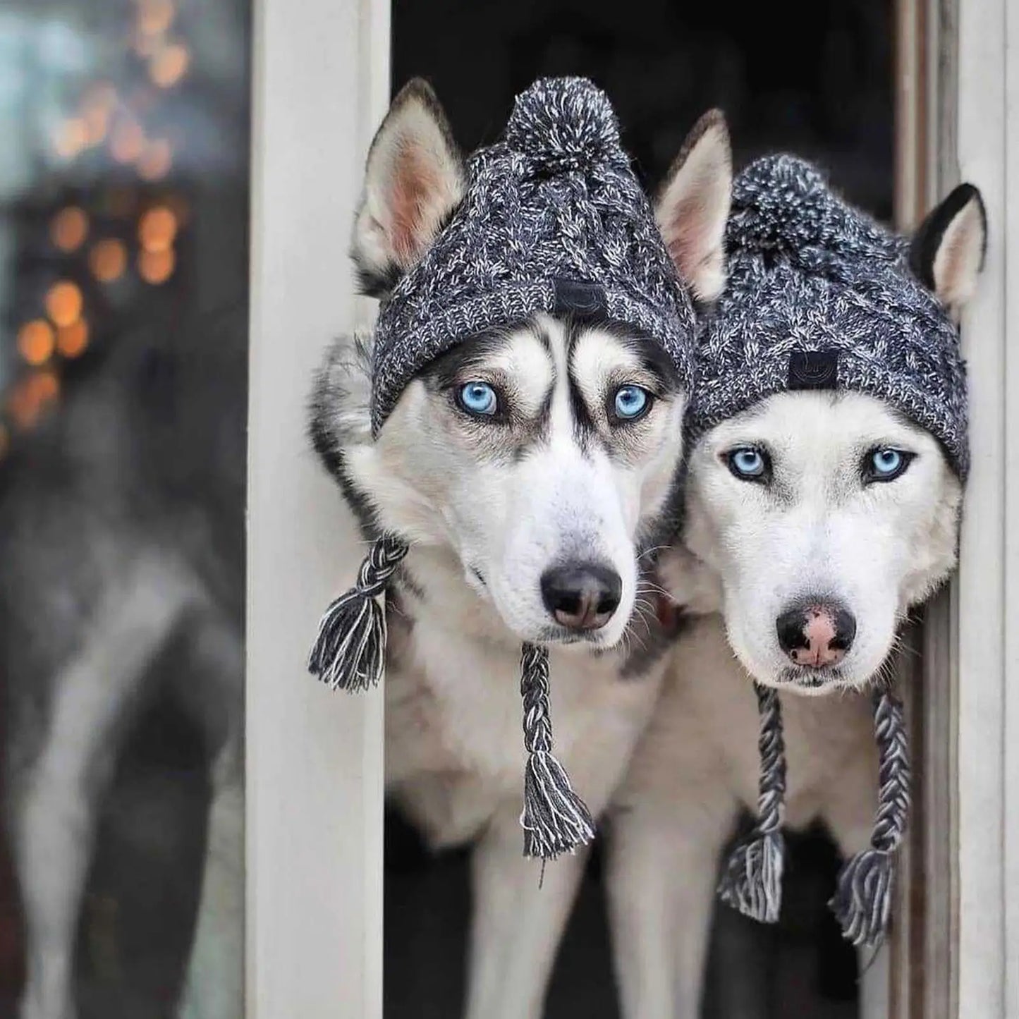 Furry Friend Knit Hat