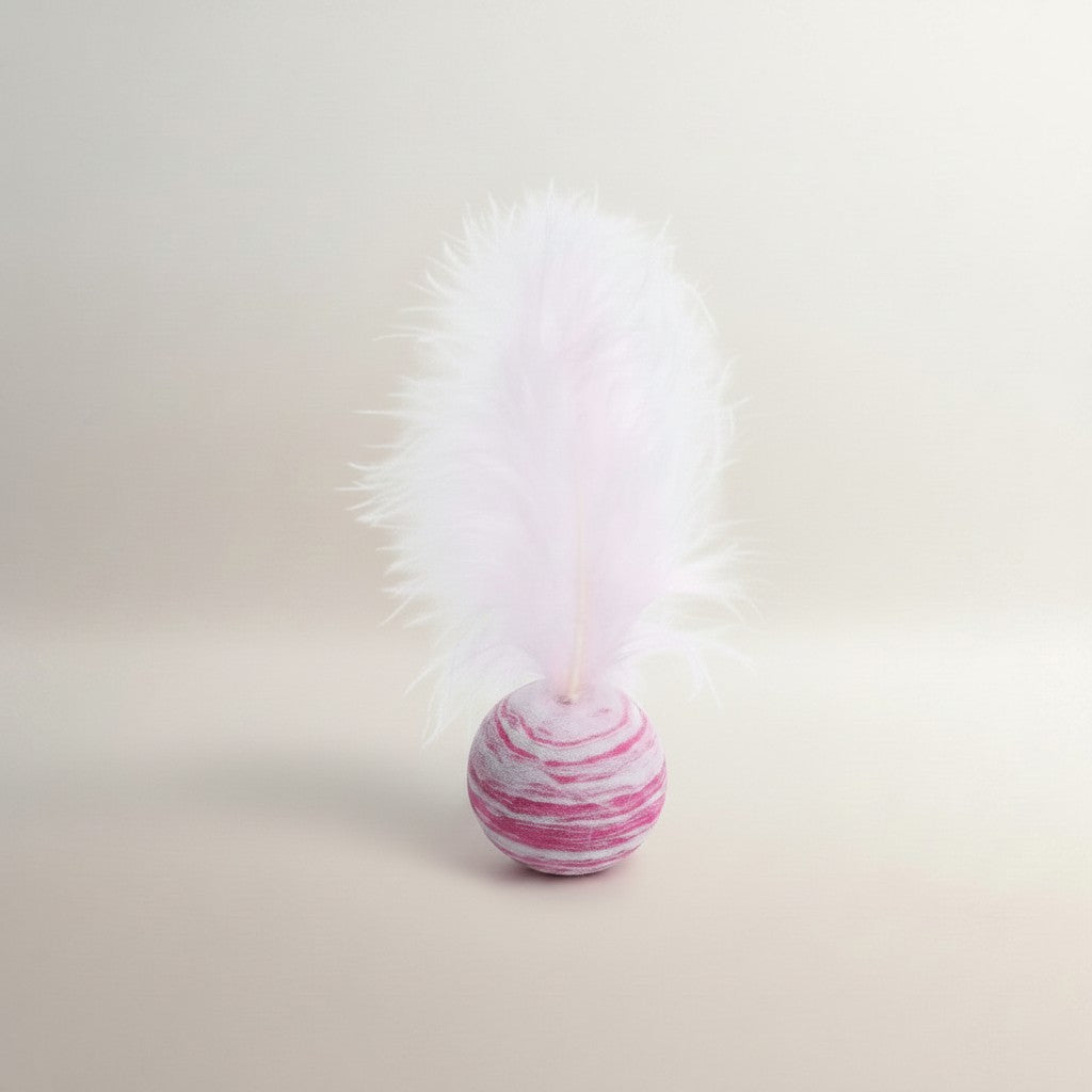 Cat & Dog Star Feather Ball Toy