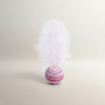 Cat & Dog Star Feather Ball Toy