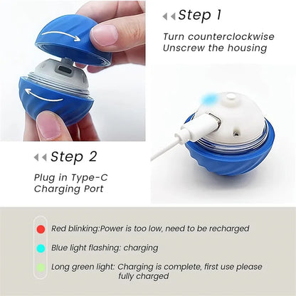 Smart Interactive Toy Ball