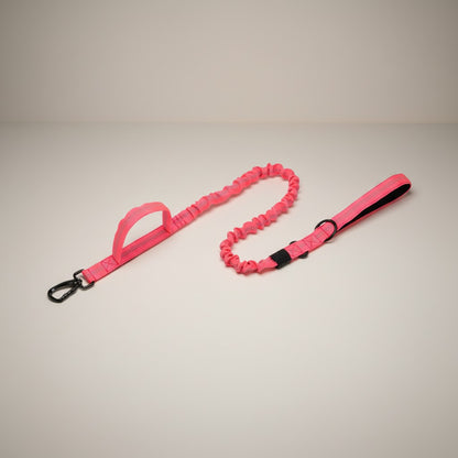 Tactical Nylon Dog Collar