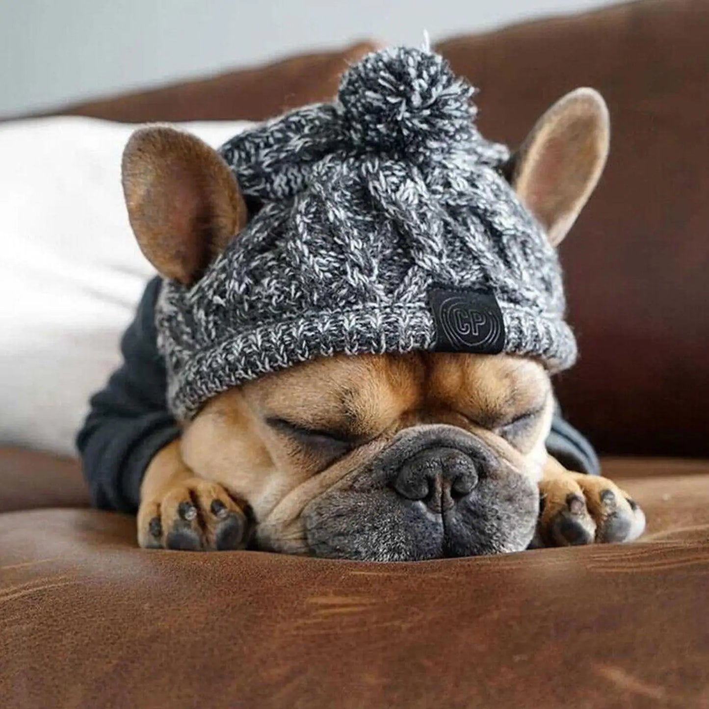 Furry Friend Knit Hat