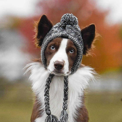 Furry Friend Knit Hat