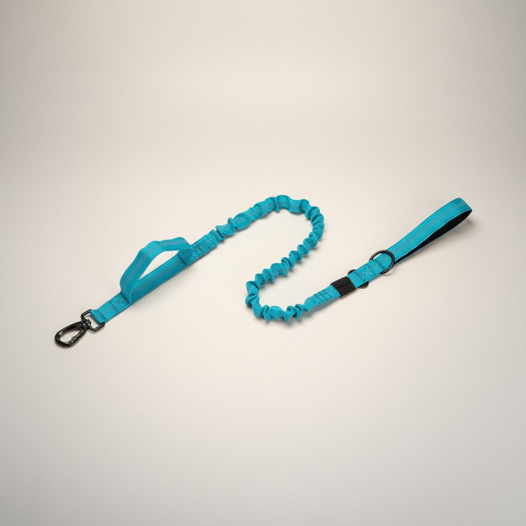 Tactical Nylon Dog Collar