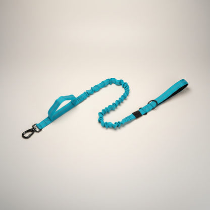Tactical Nylon Dog Collar