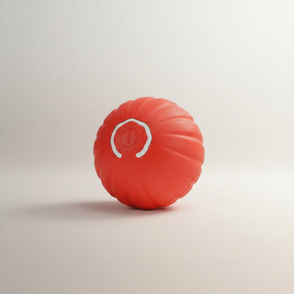 Smart Interactive Toy Ball