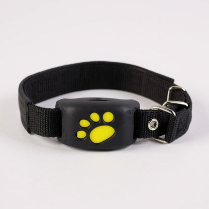 PawTrack